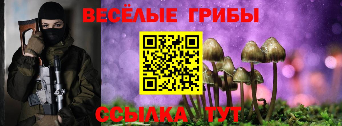 Урай  Галлюциногенные грибы Psilocybine cubensis  Вход с VPN  Псилоцибиновые грибы прущие грибы 